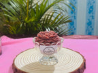 Lotus in jar candle