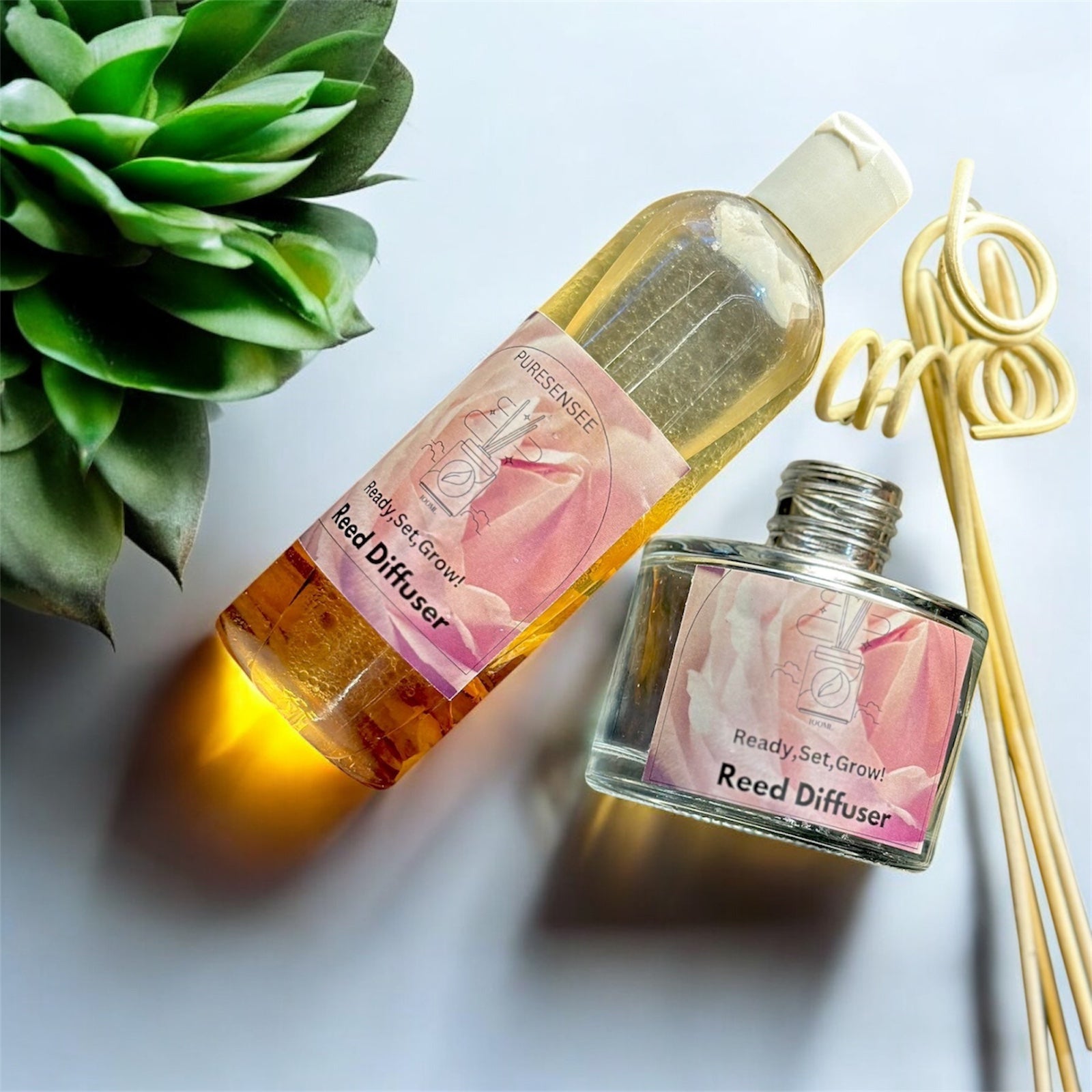 Reed Diffuser Set