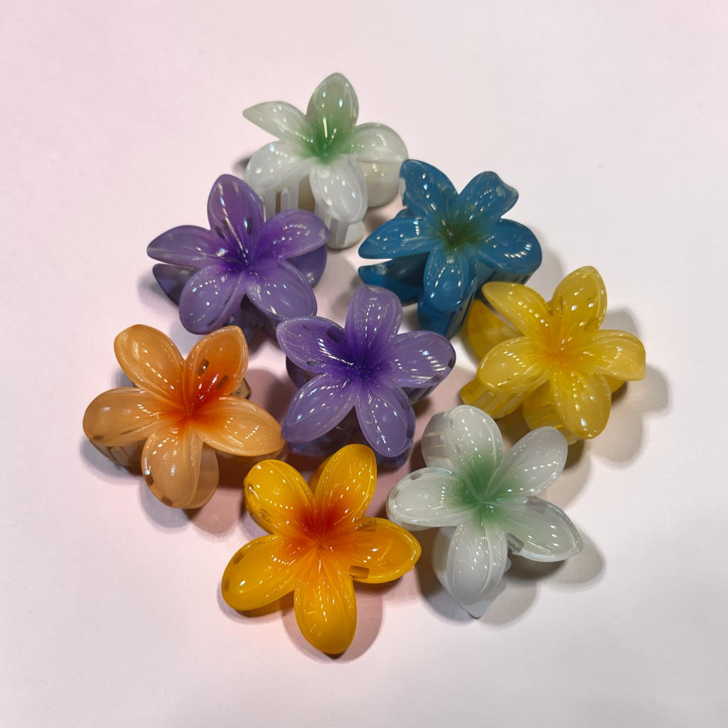 Hair clip